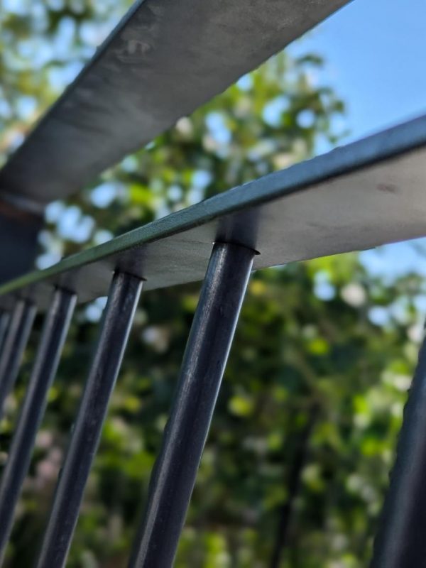 signal-2024-10-04-21-56-48-270-3